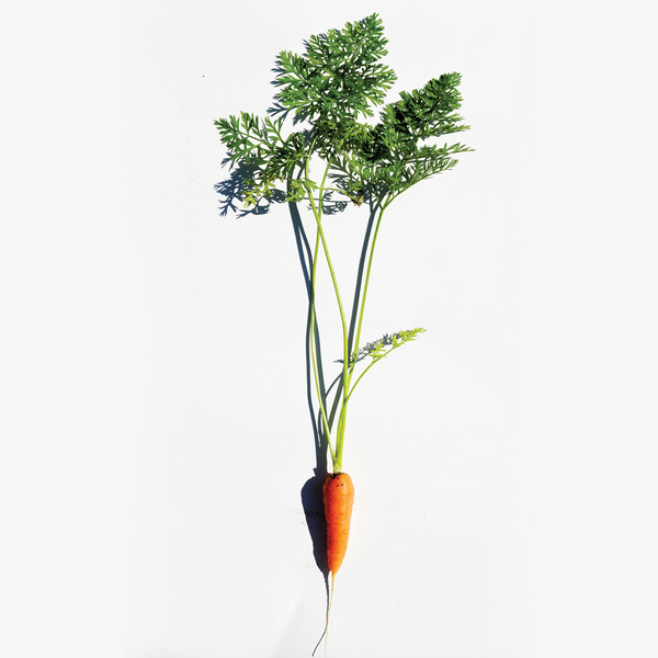 Geprüfte Qualität nach HACCP-Standard