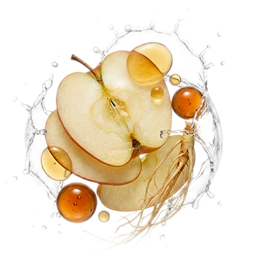 7 fermentierte Pflanzenbestandteile