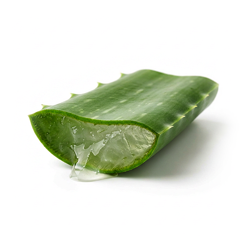 Aloe Vera Extrakt