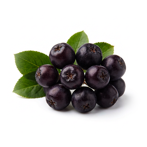 Aroniasaftkonzentrat