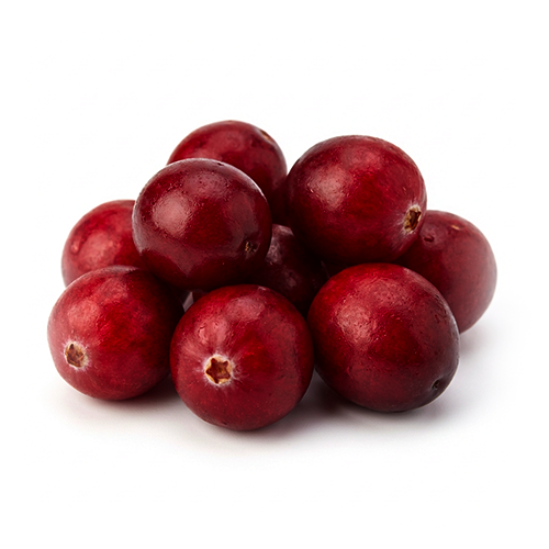 Cranberrysaftkonzentrat