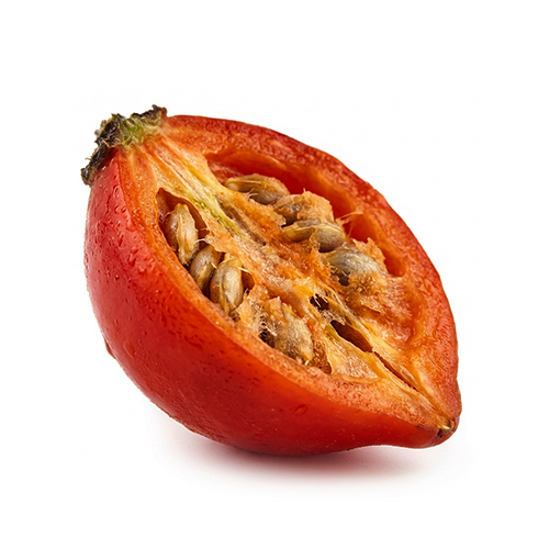 Hagebuttensaftkonzentrat