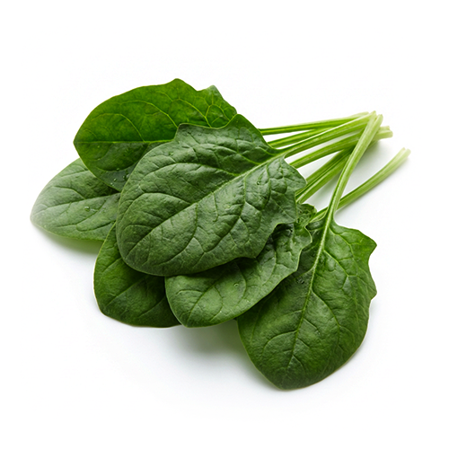 Spinatsaftkonzentrat