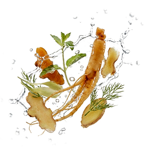 20 antioxidative Kräuterextrakte