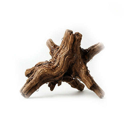 Wässrige Kräuterwurzelessenz